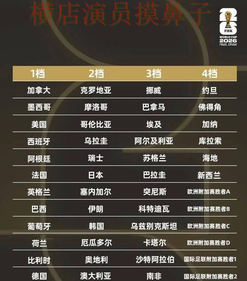 全面分析世界杯竞猜网站：从数据分析到直播观看全流程解析 - 世界杯官方信息