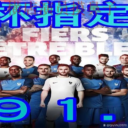 世界杯全球总决赛背景下的世界杯买球网站精选与稳定性评测直播解析